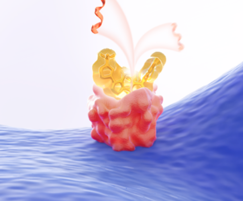 Play mechanism of action video