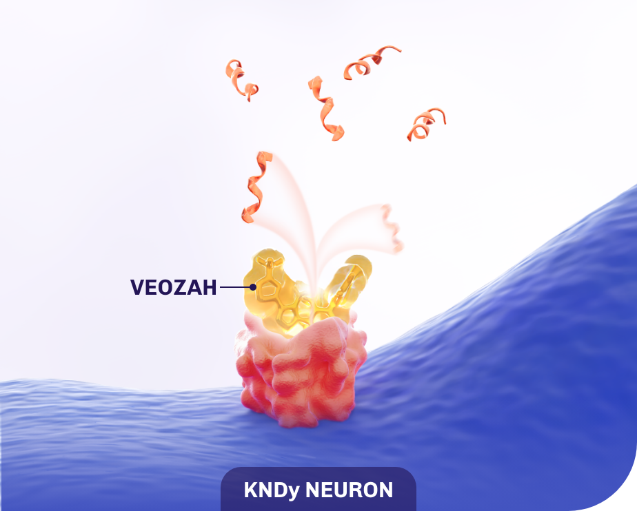 VEOZAH inhibits binding of NKB to NK3R on the KNDy neuron