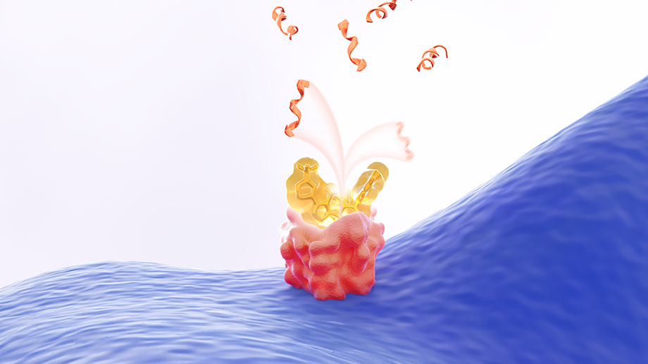 VEOZAH binding to NK3R in MOA video