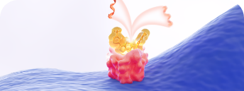 Mechanism of action (MOA) video